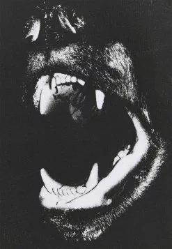 YOURTURN Unisex - Print T-Shirt - White 5 YOURTURN Unisex - Print T-Shirt - White -Yourturn Shop 58bb31f561364d32afd21d152180aa2a scaled